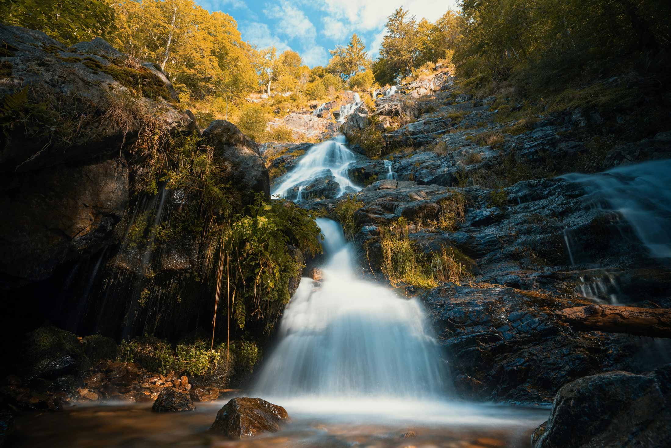 de hoogste waterval van duitsland in het zwarte woud