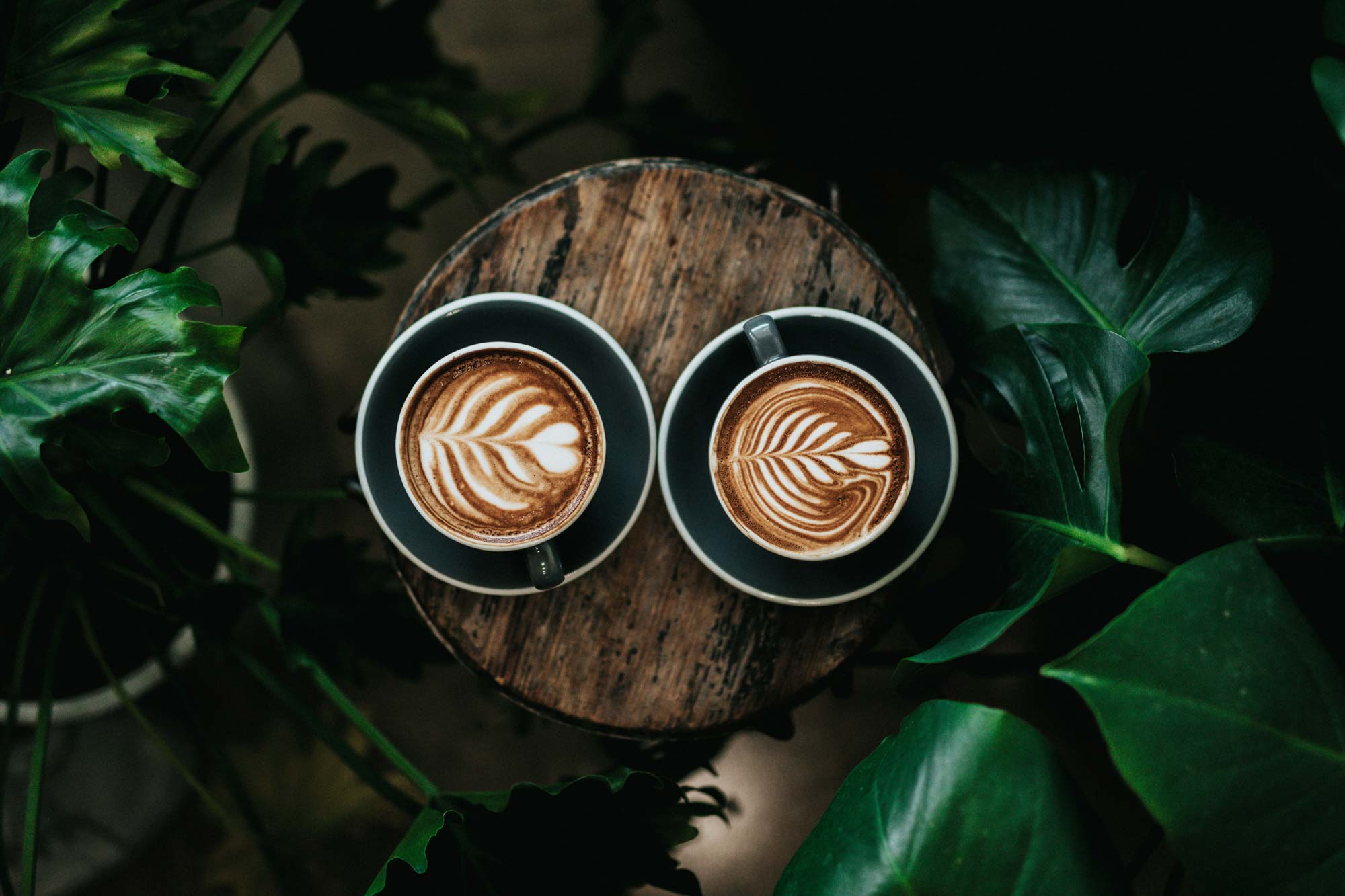 Twee kopjes cappuccino met bladvormige latte-kunst staan op een ronde houten tafel, omringd door grote groene bladplanten - perfect voor wie koffielanden heeft bezocht en de echte koffiecultuur heeft geproefd.