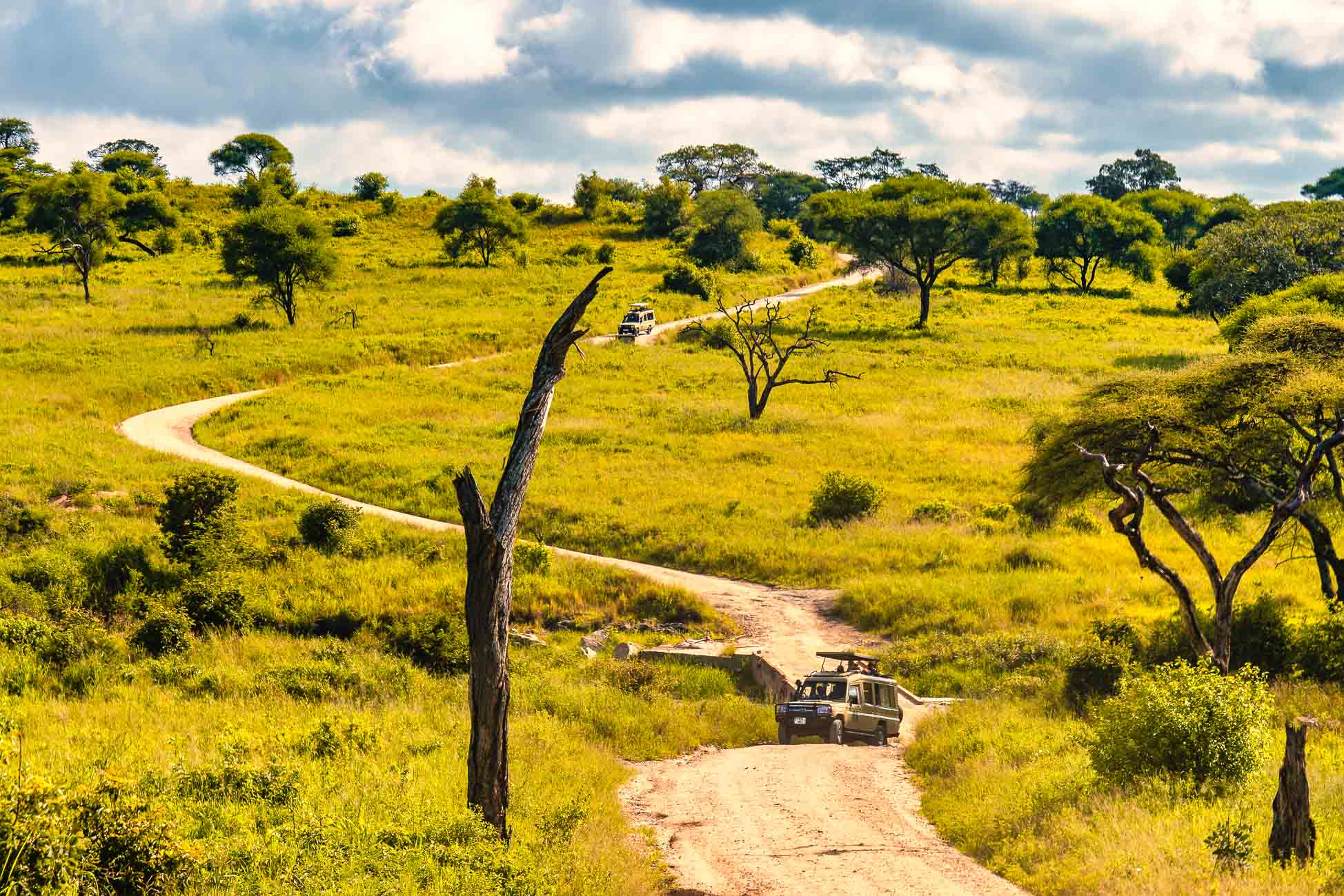 Een safarivoertuig rijdt over een kronkelende onverharde weg door de met gras begroeide, met bomen bezaaide savanne van Afrika onder een gedeeltelijk bewolkte hemel, met andere voertuigen zichtbaar in de verte, de essentie van "pole pole door Tanzania" vastleggend.