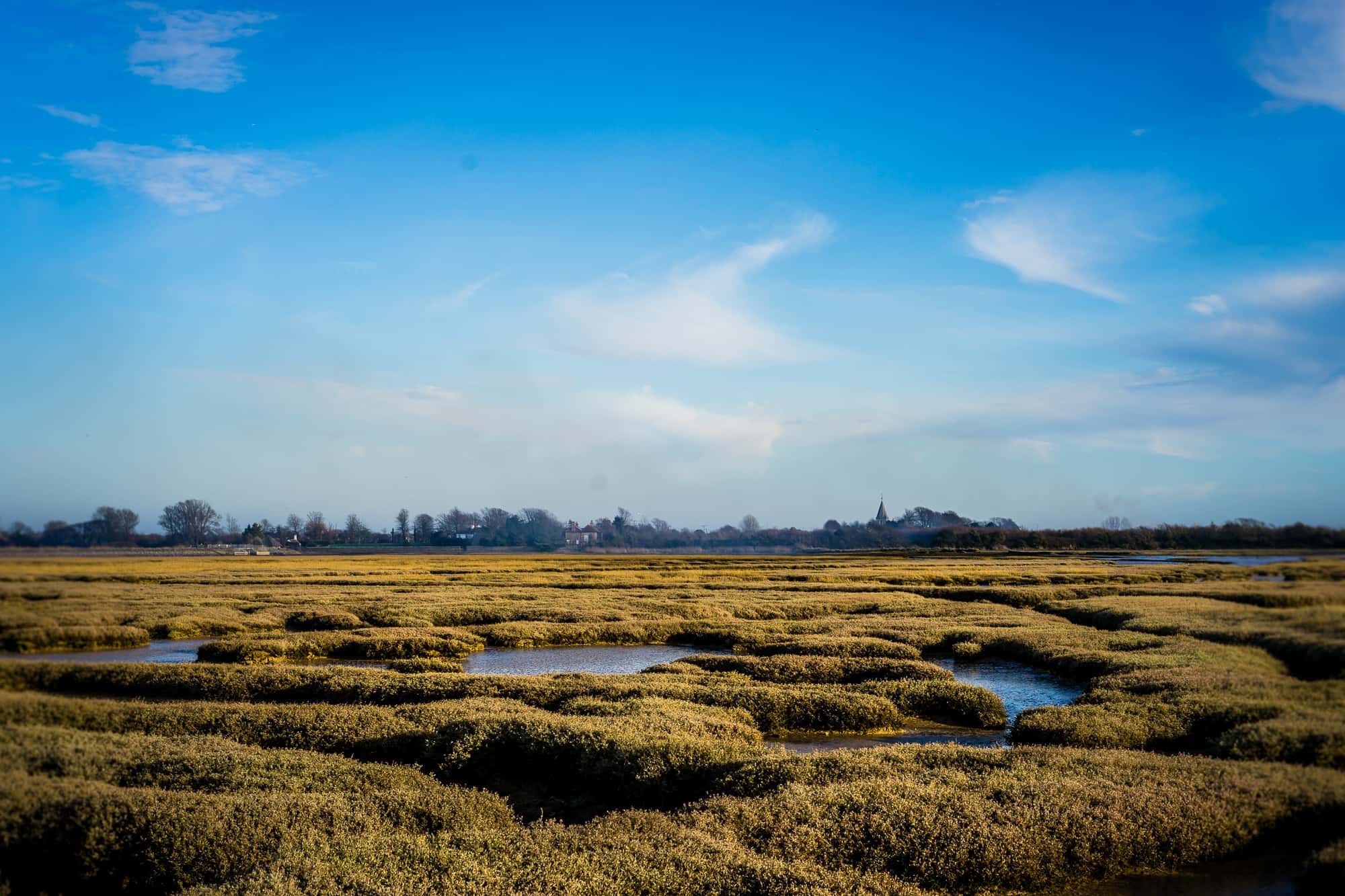 Terug van wereldreis: over Travel Blues & knaagdieren en de frisse lucht in West Sussex