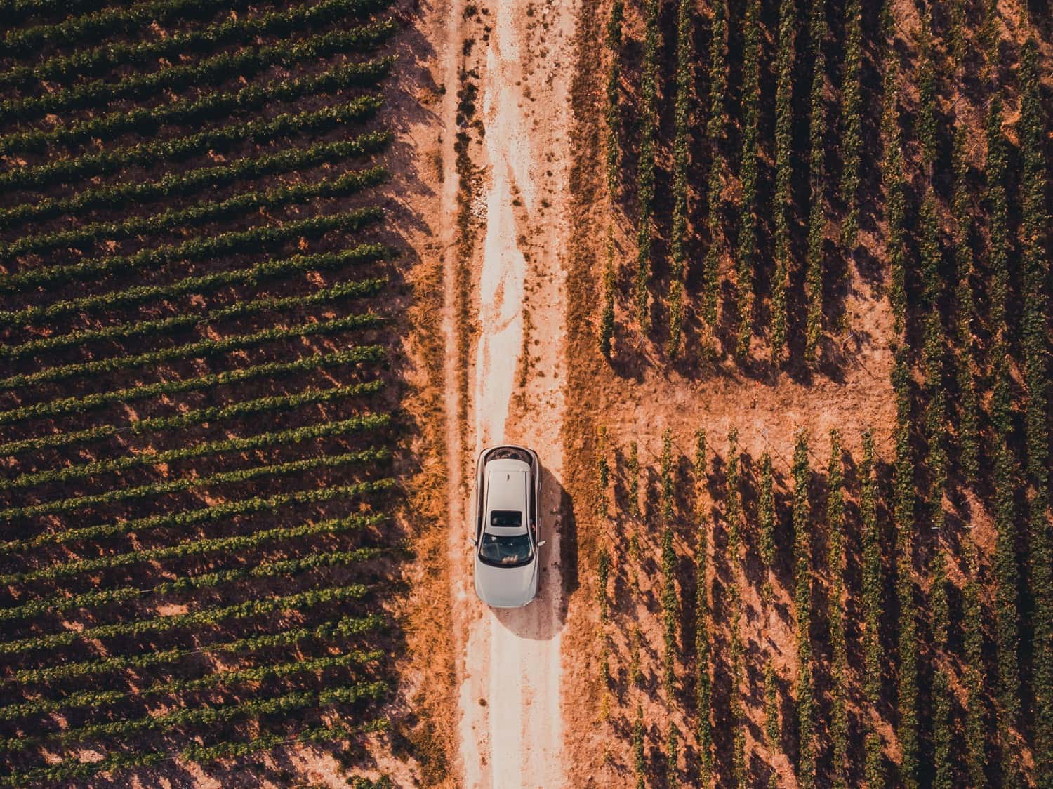 Op roadtrip vertrekken met de bestemming als verrassing en de kunst van het gelukkig worden door te reizen.