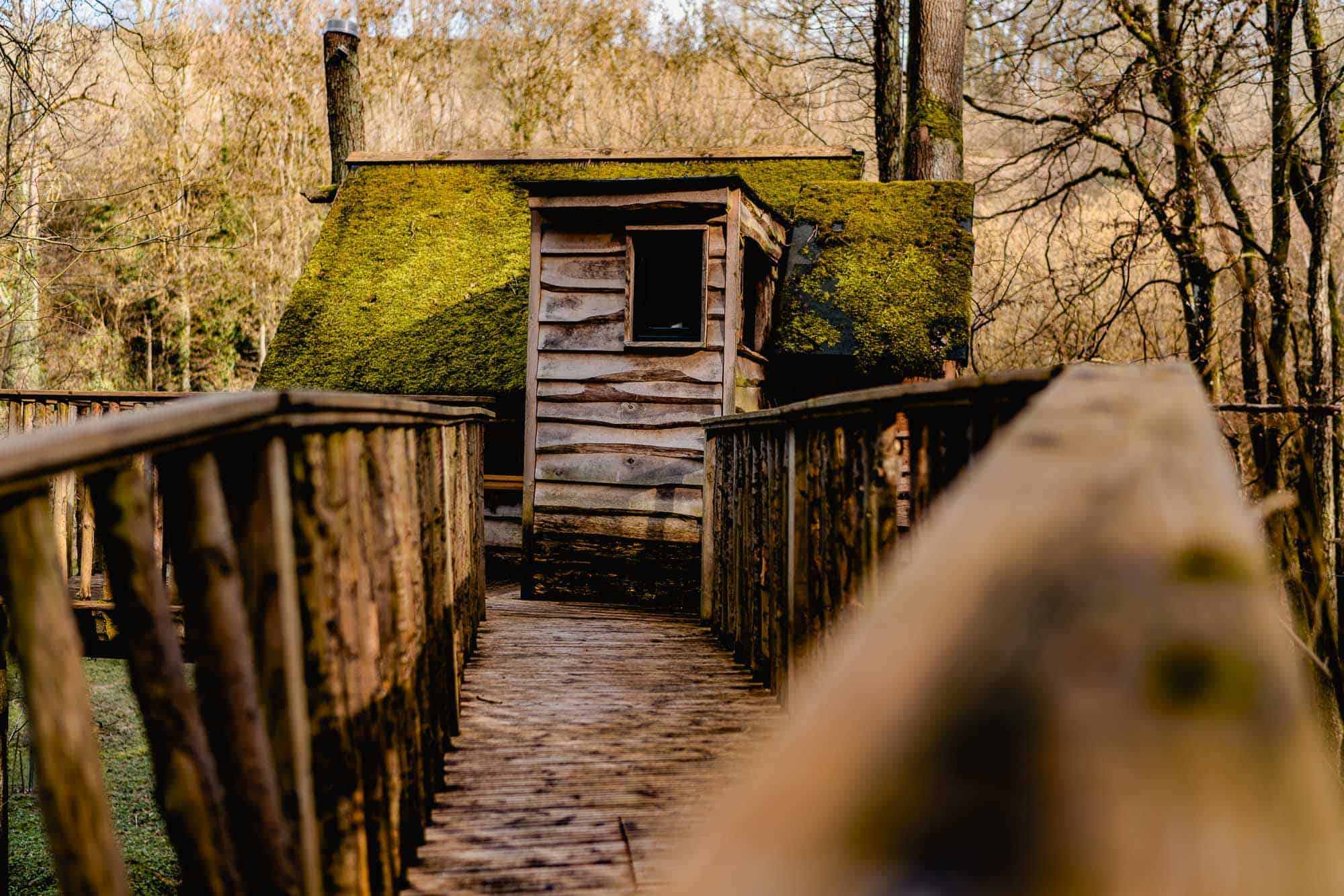 Twitteren als een tsjiftjaf in een boomhut in d’Ardennen