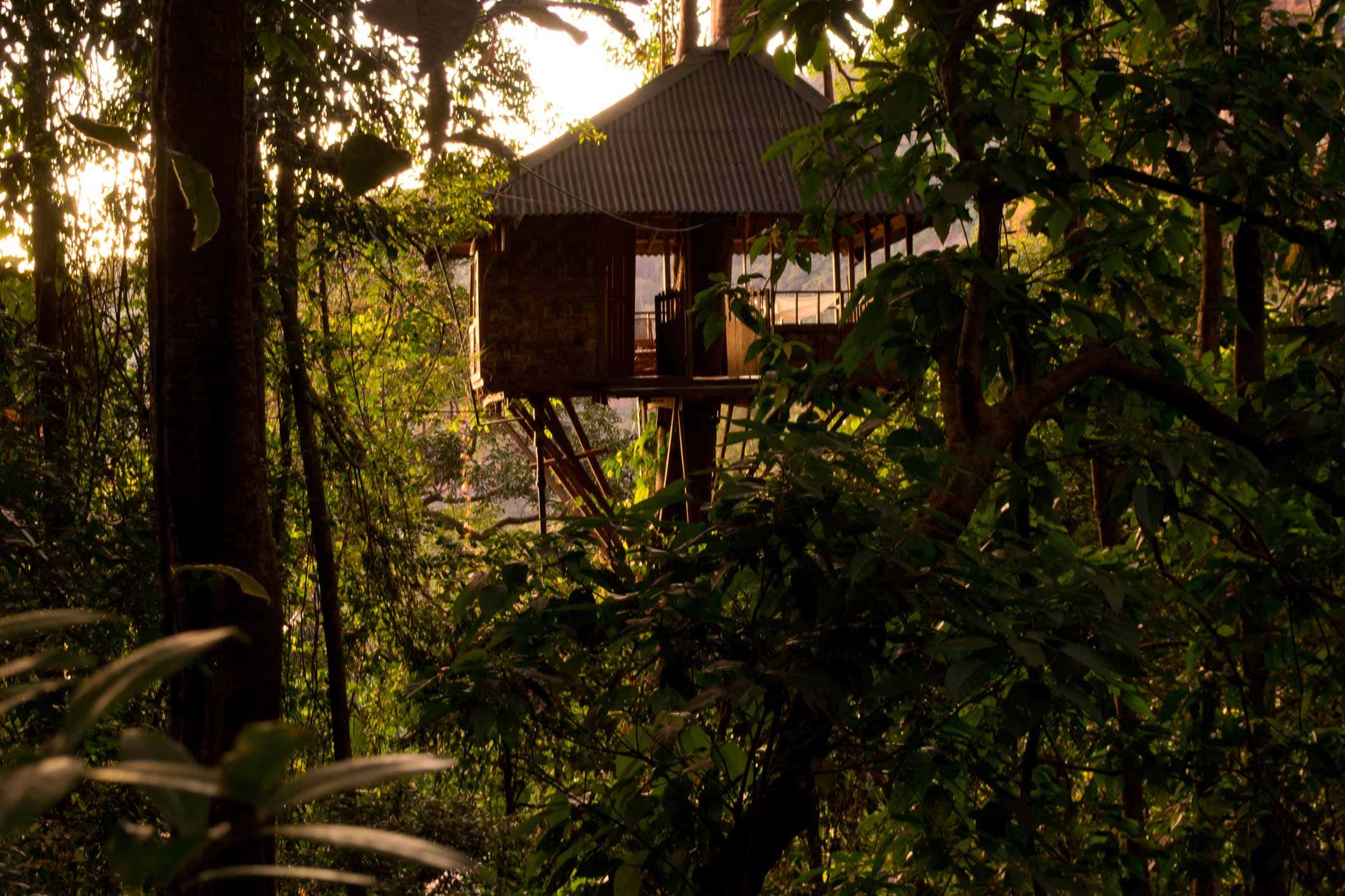 Een krakende boomhut in de Belgische Ardennen