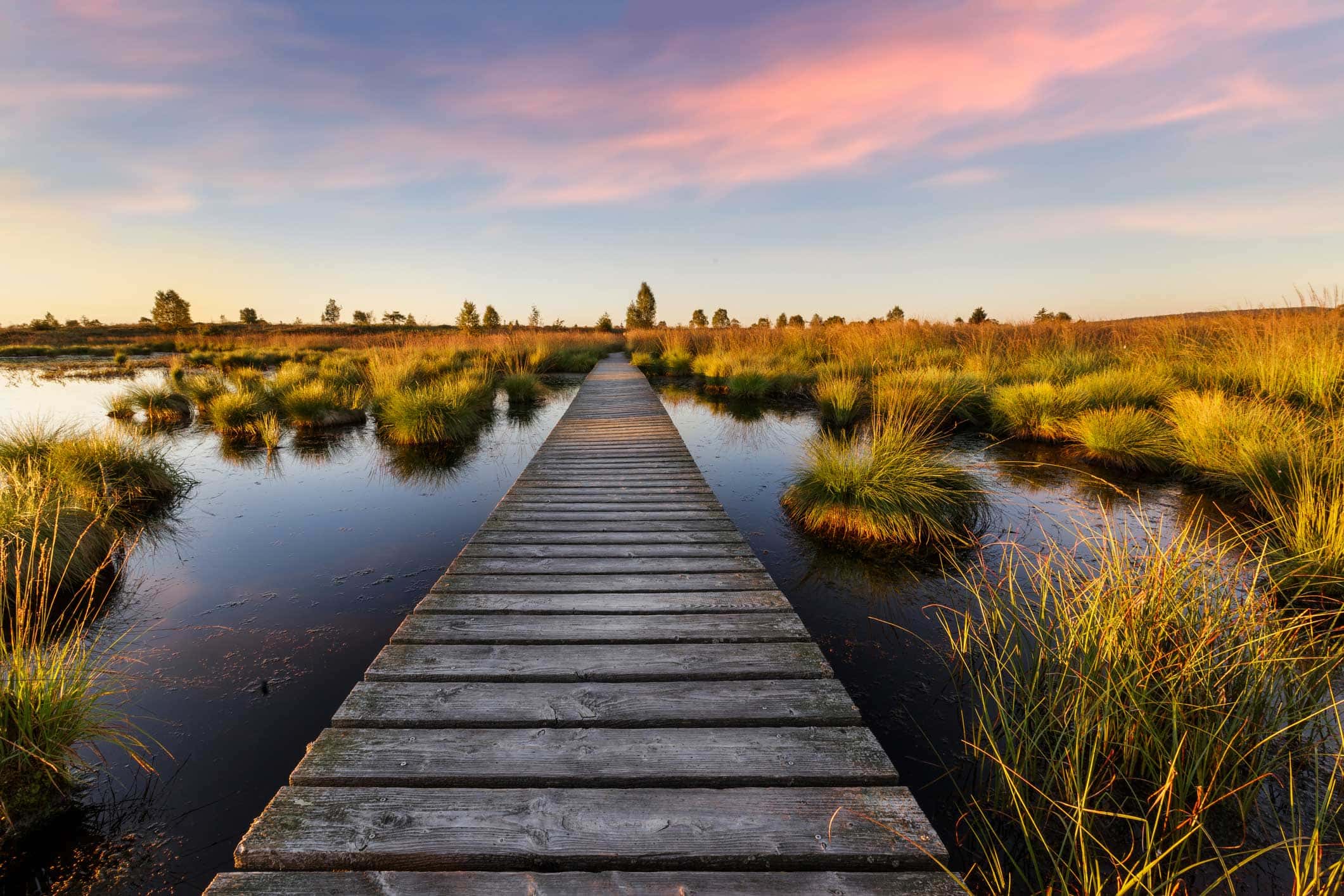 Wauw! Dit zijn enkele van de mooiste wandelingen in Wallonië