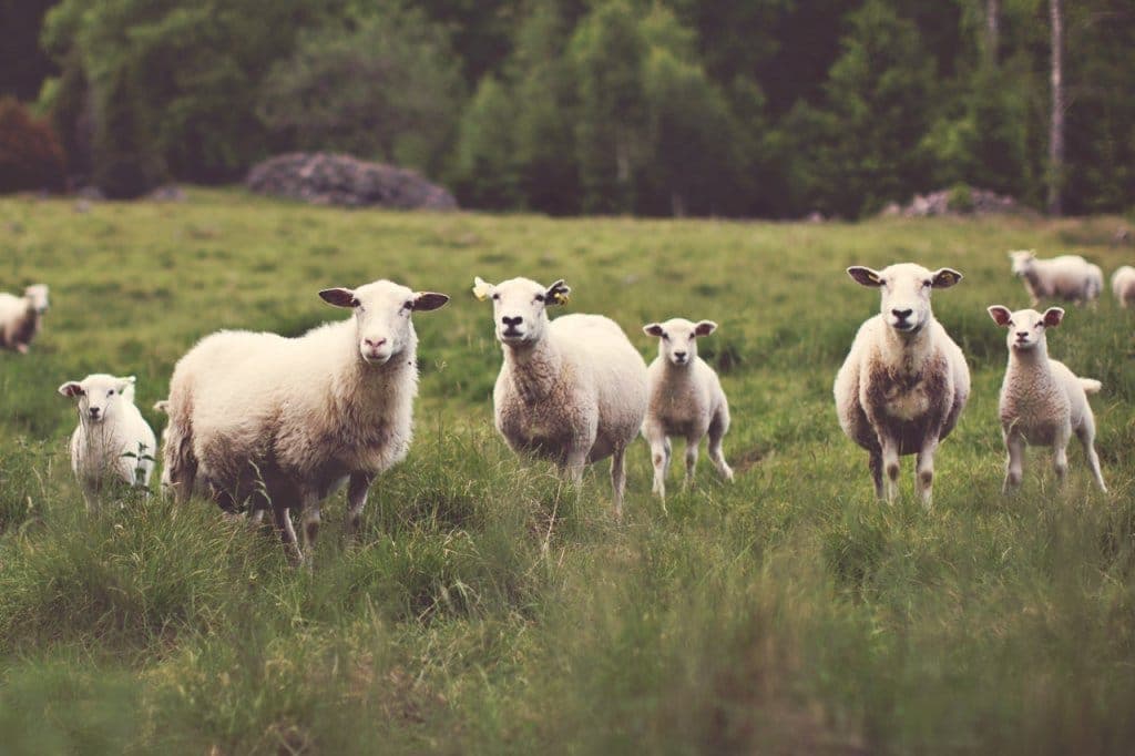 Belgische Reisblog Soms Ook Heimwee