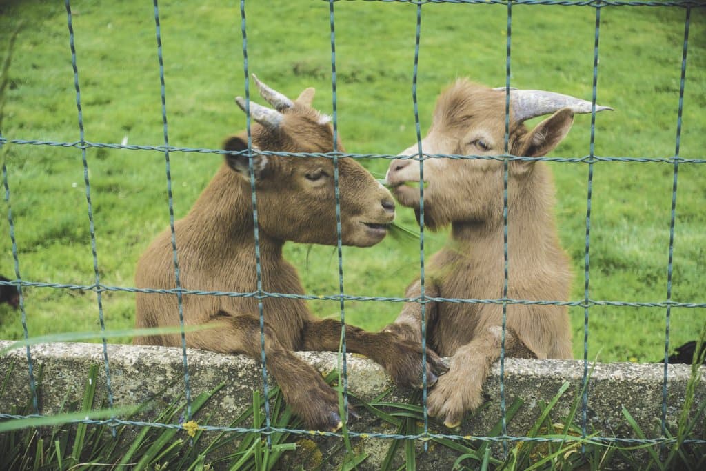 Op deze Belgische reisblog vind je vele foto's.
