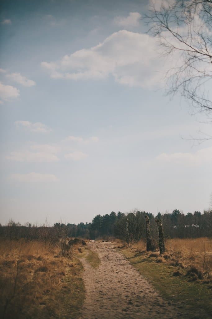 Wandelen in de Kalmthoutse heide