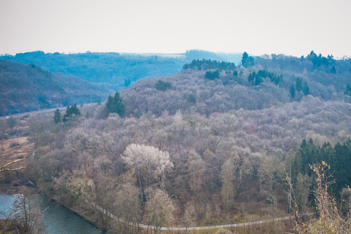 Railbike Ardennen