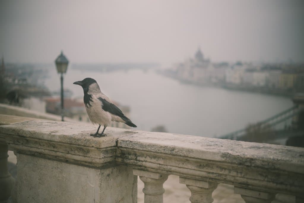 boedapest kort verhaal