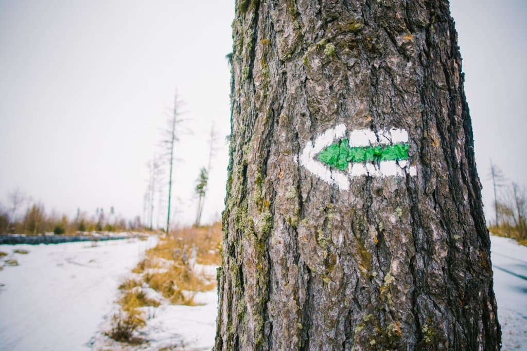 Slowakije Tatra gebergte