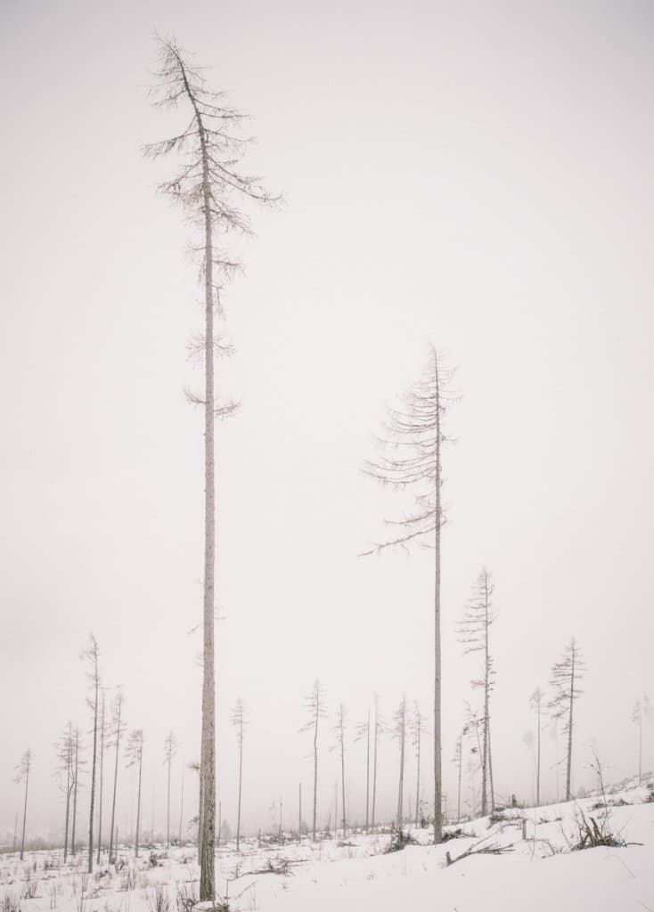 Slowakije Tatra gebergte