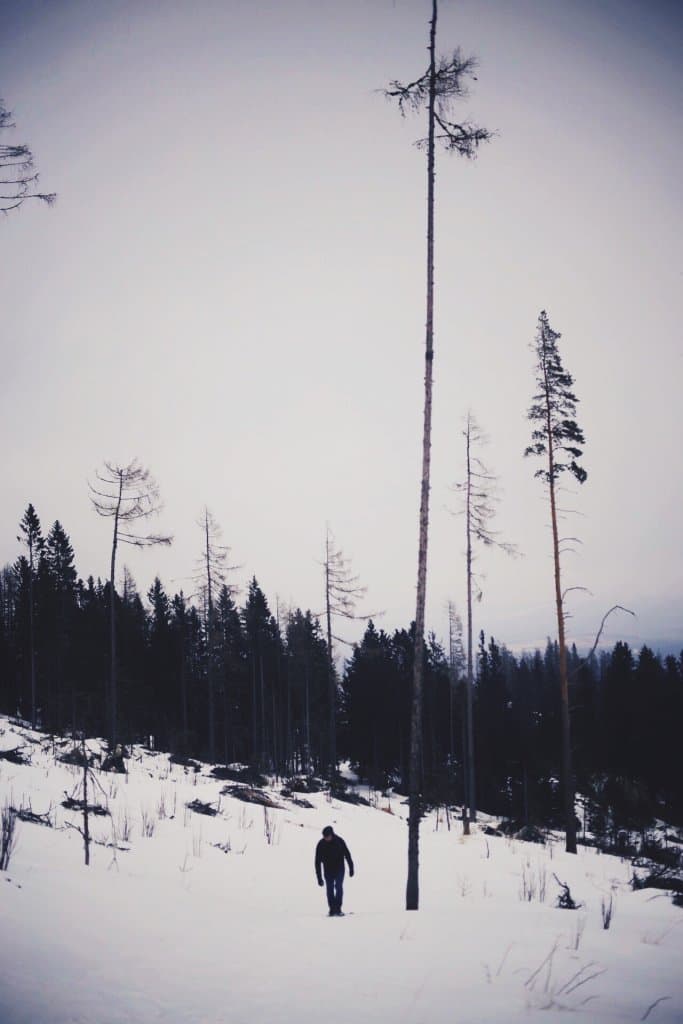 Slowakije Tatra gebergte