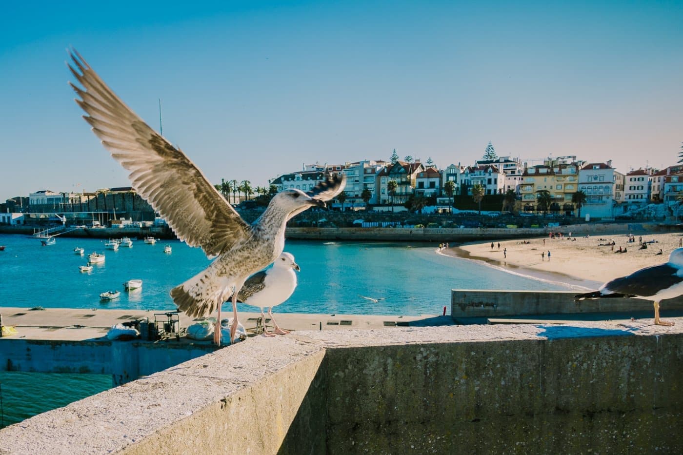 Lissabon tips