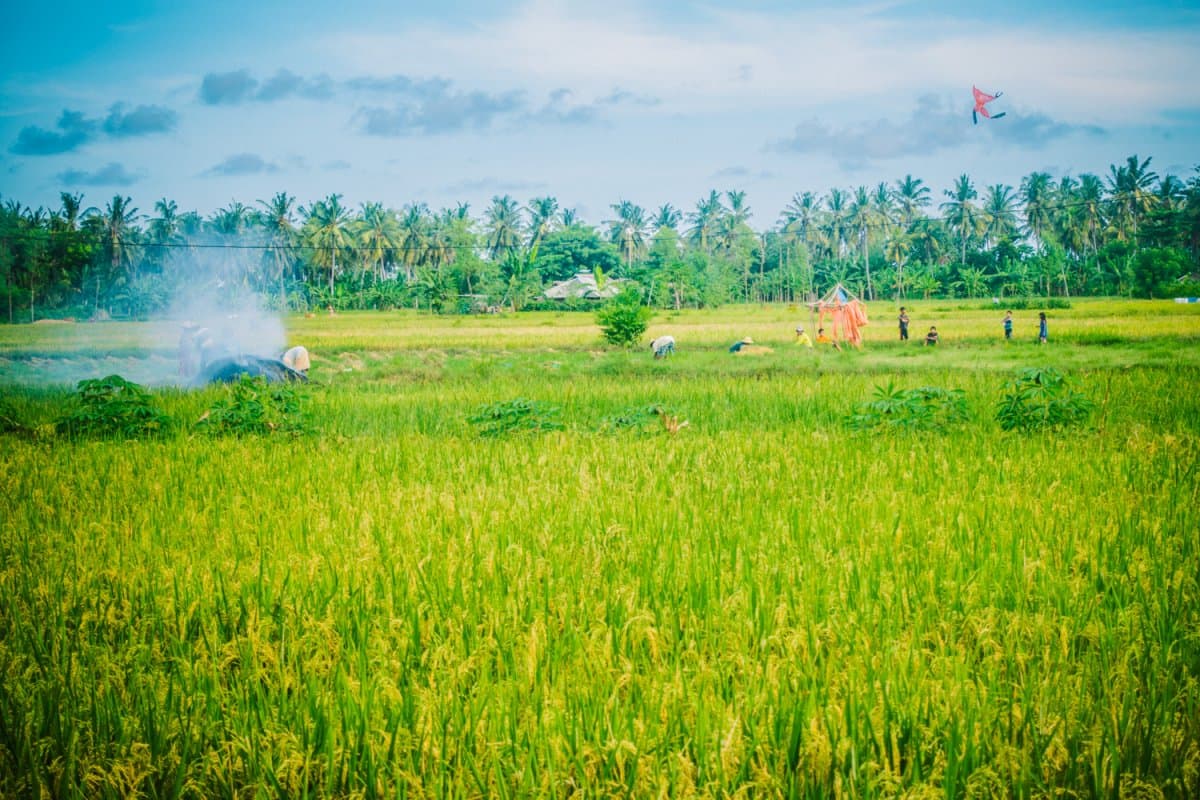 soloreizen hoe aanpakken