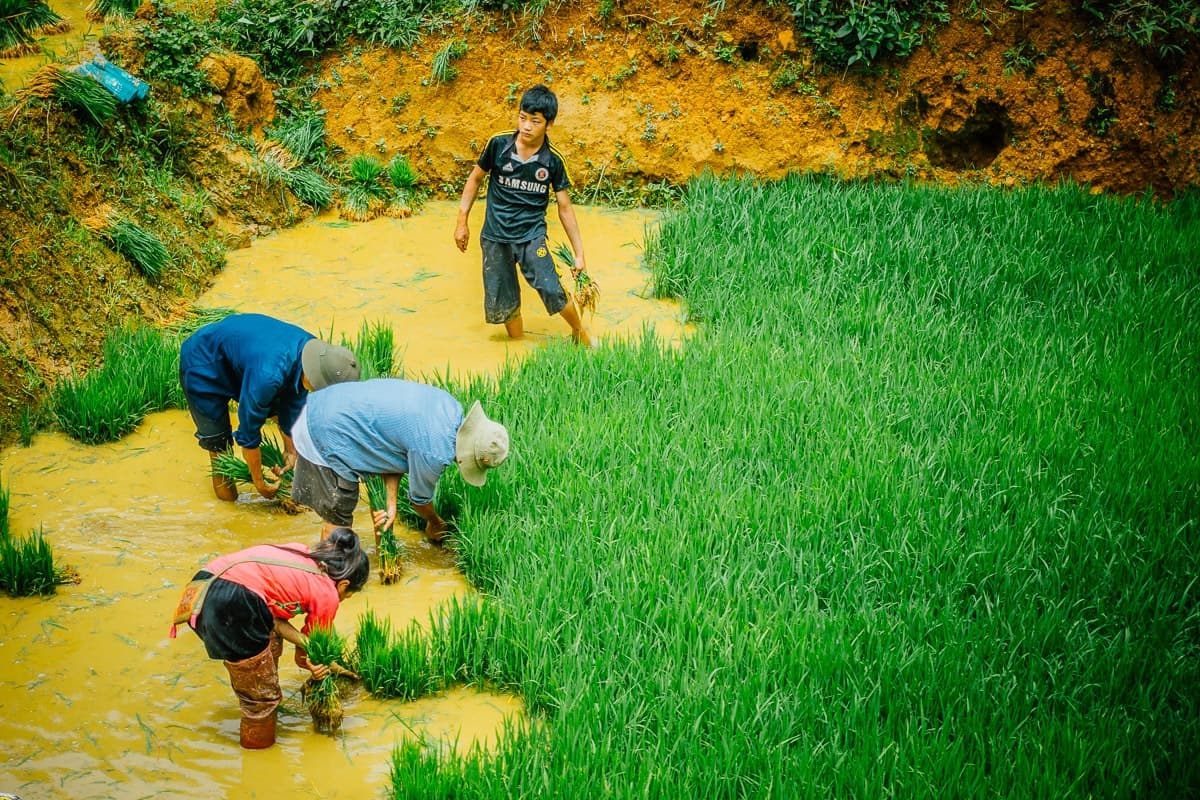Wat te doen in Sapa Vietnam
