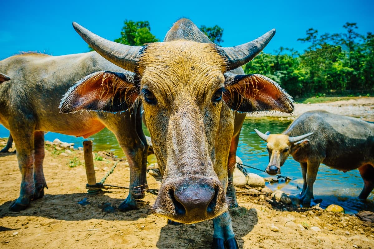 roadtrip hanoi ho chi minh vietnam