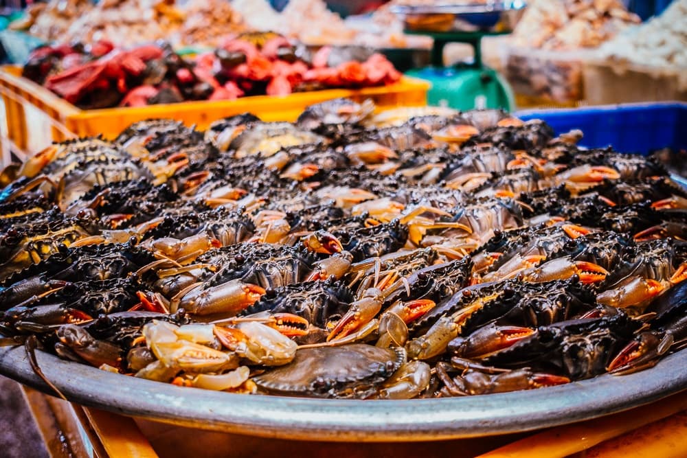 vietnam reis plannen