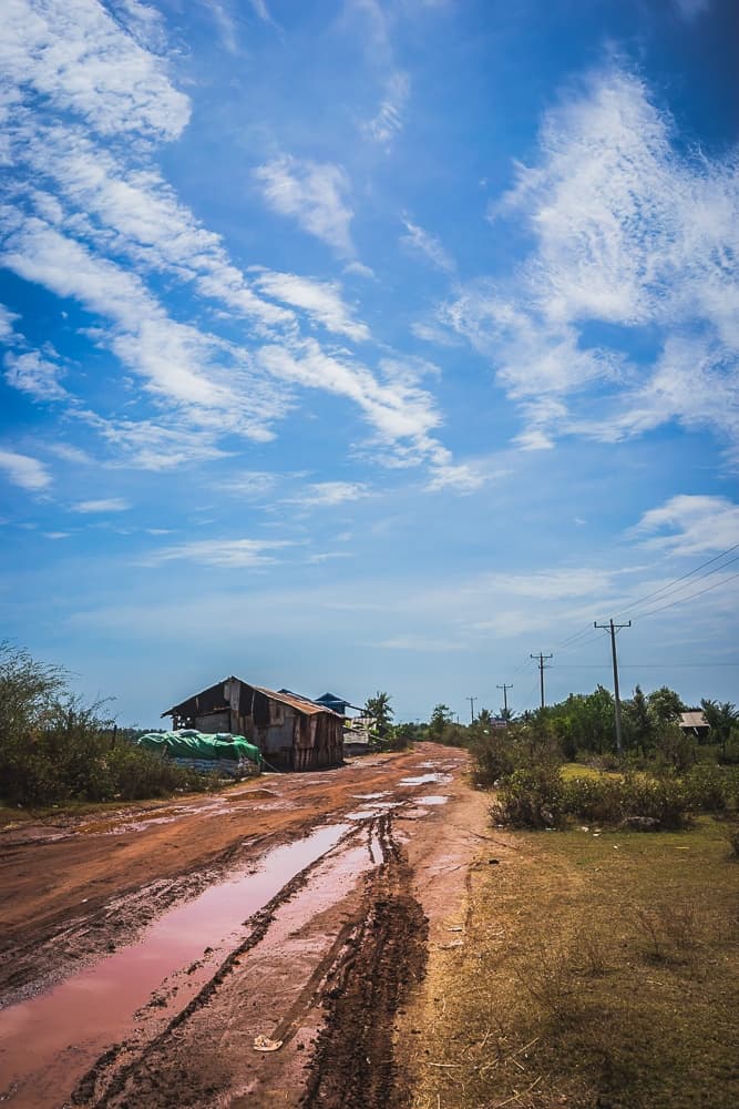 rijstvelden cambodja