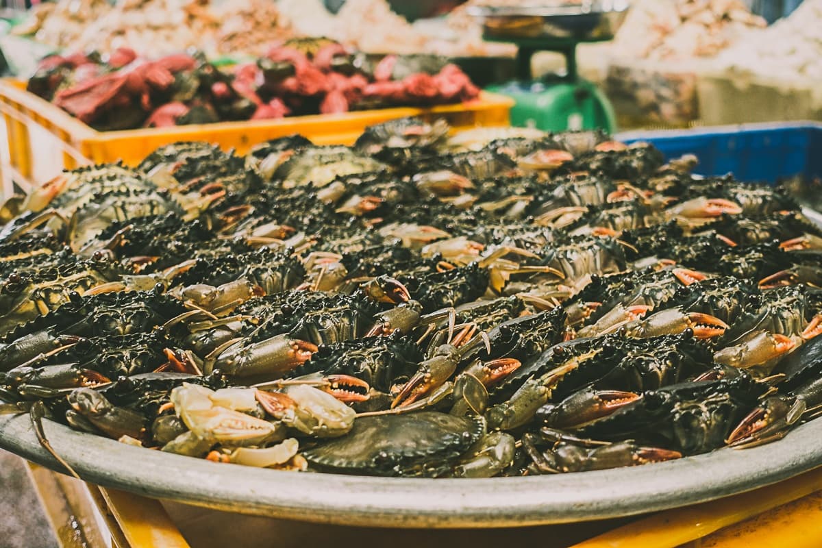 Een groot rond metalen dienblad is hoog opgestapeld met levende donkergroene krabben op een vismarkt van Streetfood van Azie. Op de achtergrond zijn gele en blauwe kratten gevuld met andere zeevruchten, waaronder rode kreeften, enigszins onscherp.