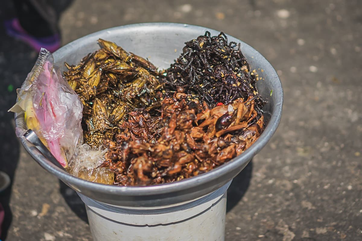 Een metalen schaal bevat drie soorten gekookte insecten - bruine sprinkhanen, zwarte krekels en roodbruine insecten - typisch straatvoedsel van Azie, met een plastic zakje kruiden ernaast. De schaal staat op een witte standaard buiten op ruwe steen.