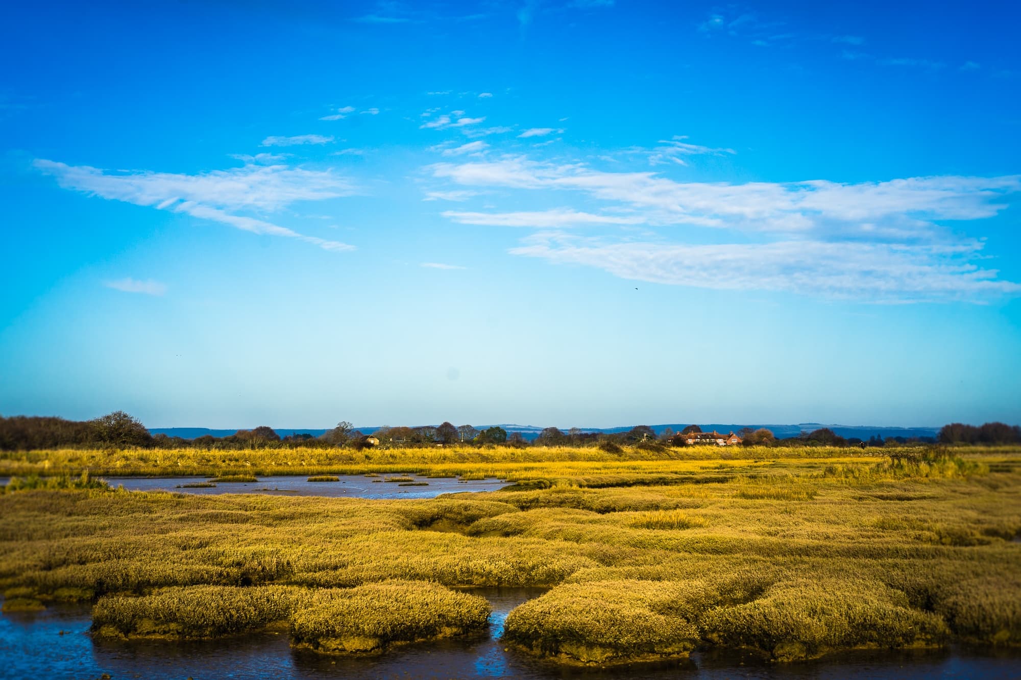 Een weids moeraslandschap met groene en gele grasvlakten omringd door water, onder een helderblauwe hemel met verspreide wolken. In de verte staan kleine huizen en bomen aan de horizon - een vredig toevluchtsoord voor wie van de reisblues wil genezen.