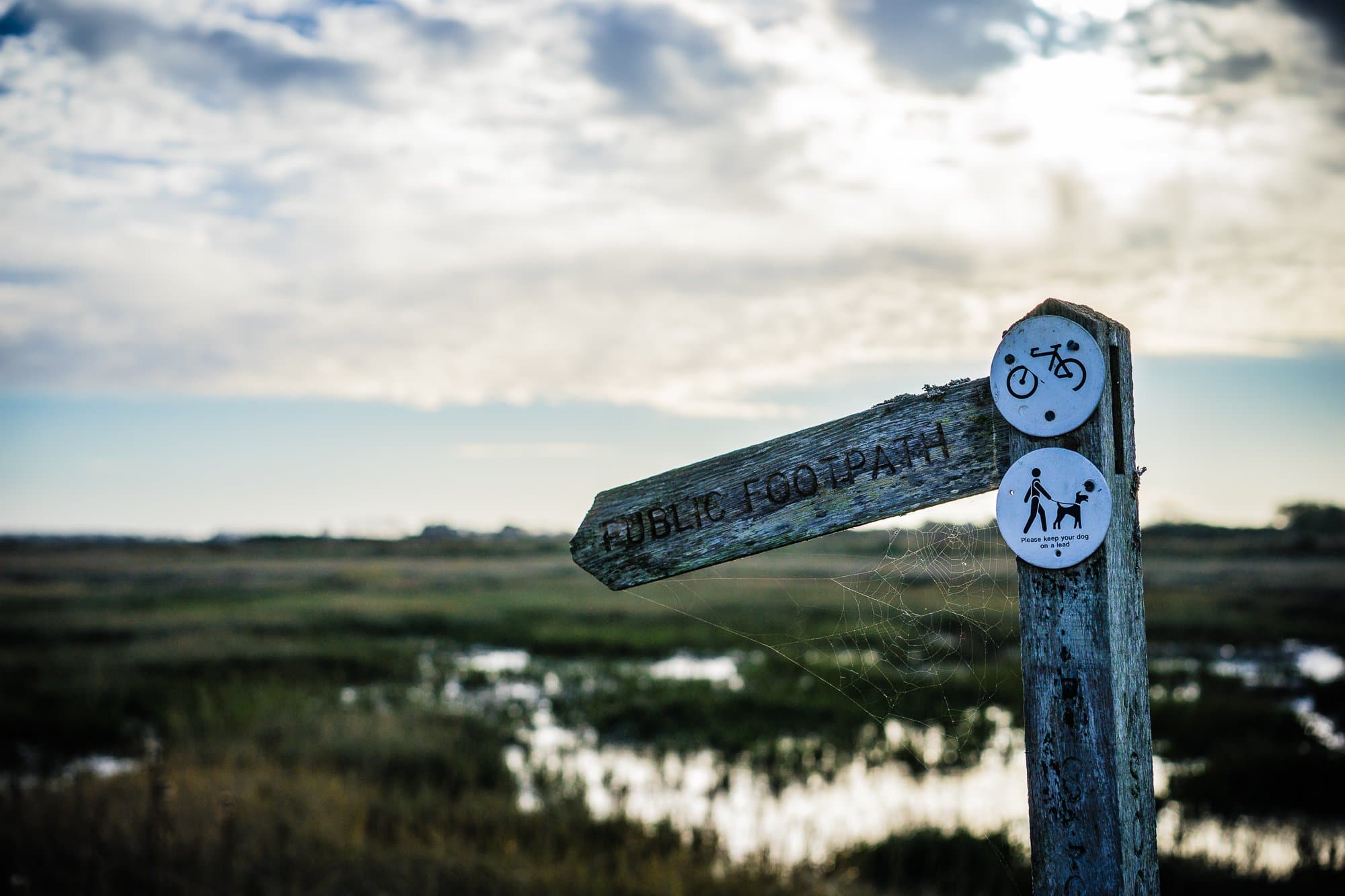 travel blues solo travel