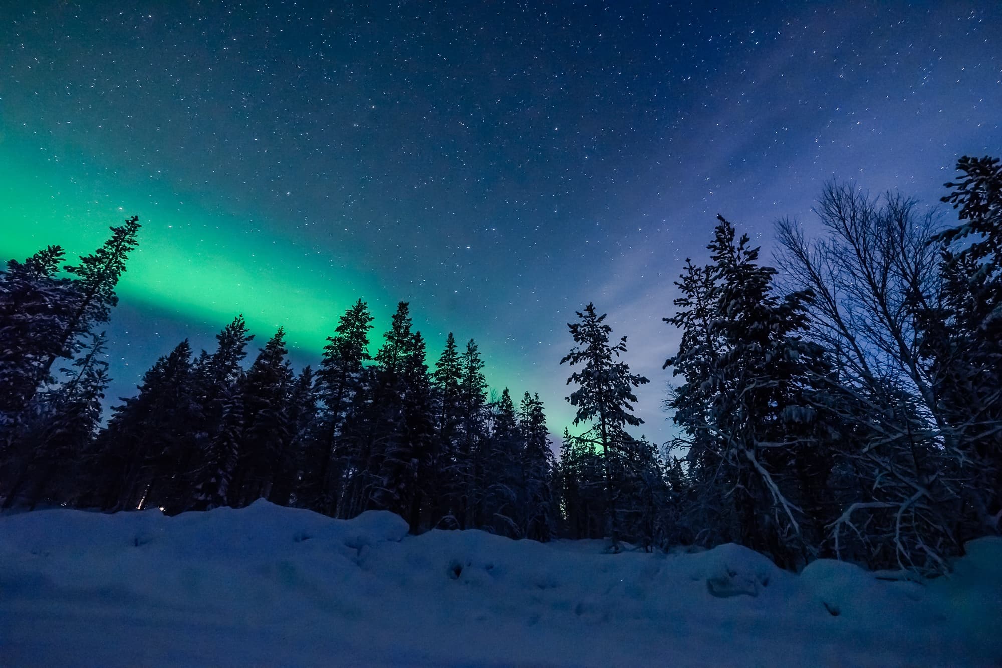 noorderlicht fotograferen