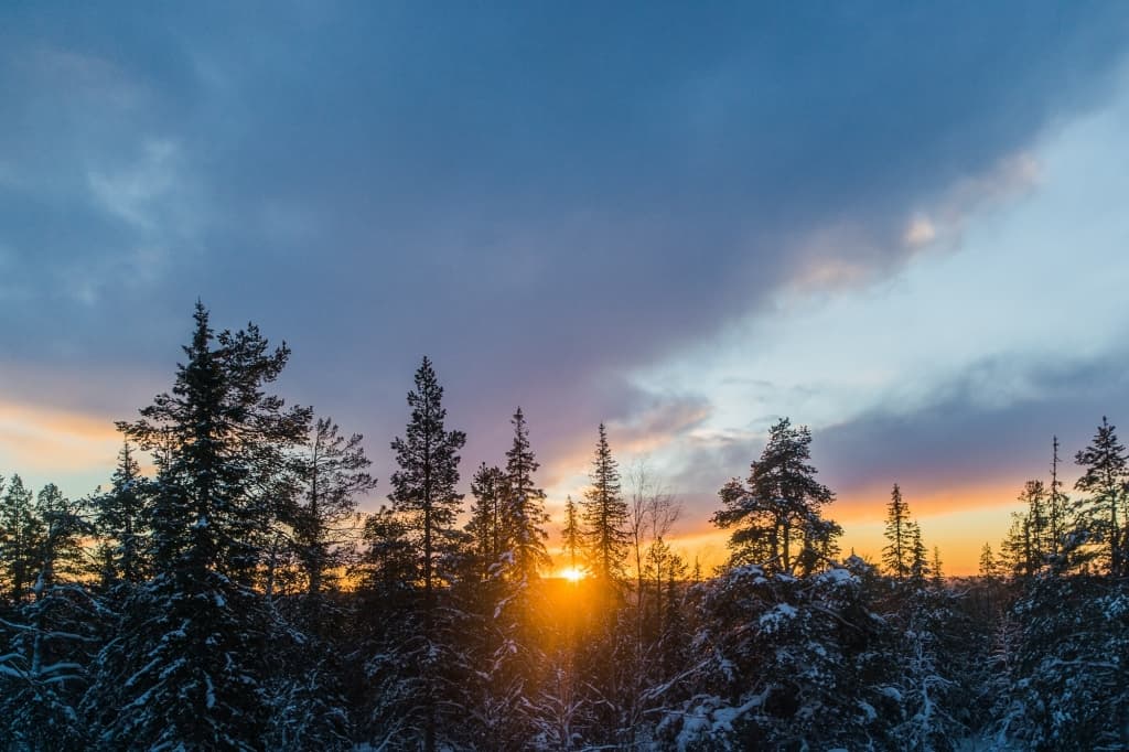 lapland sneeuwvakantie