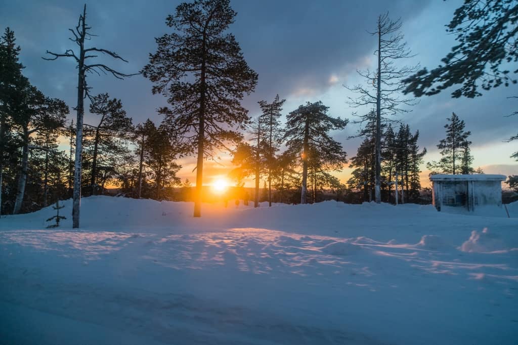 De afbeelding toont een besneeuwd bos bij zonsondergang, perfect voor noorderlicht fotograferen. Warm oranje licht filtert door hoge dennenbomen, met lange schaduwen op de sneeuw en een kleine, besneeuwde hut onder een gedeeltelijk bewolkte hemel.