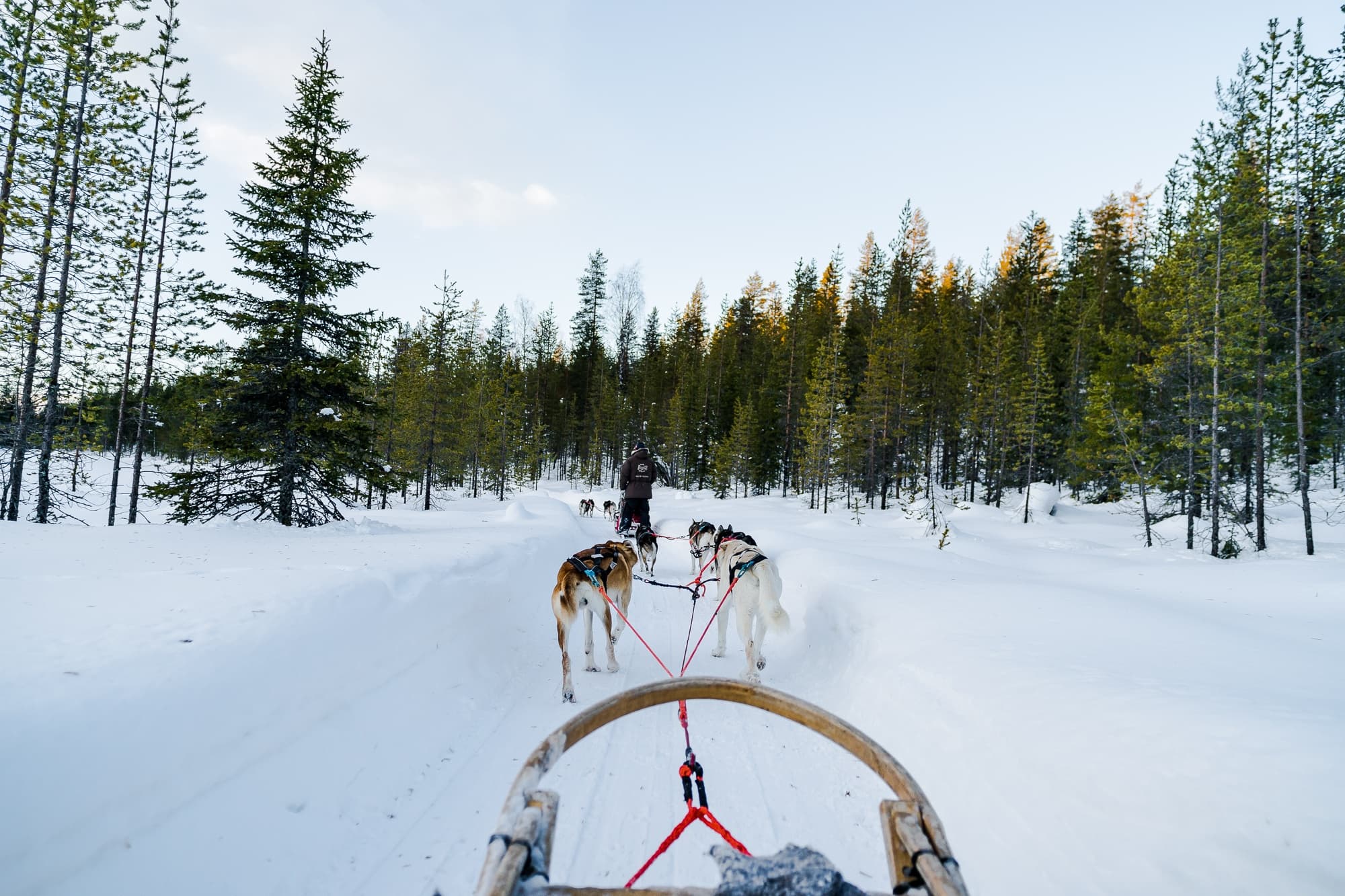 huskeytochten in finland