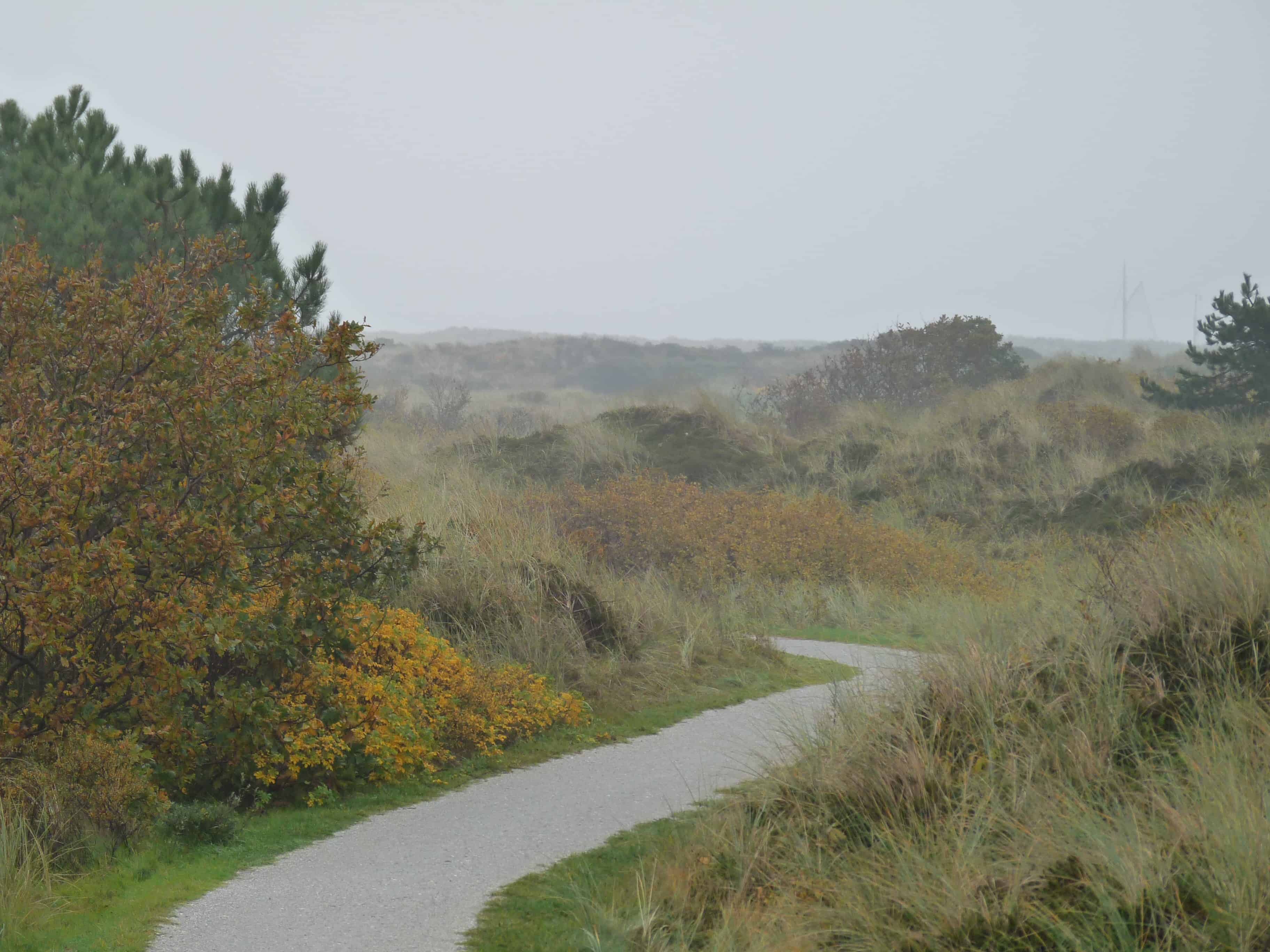 herfst waddeneilanden