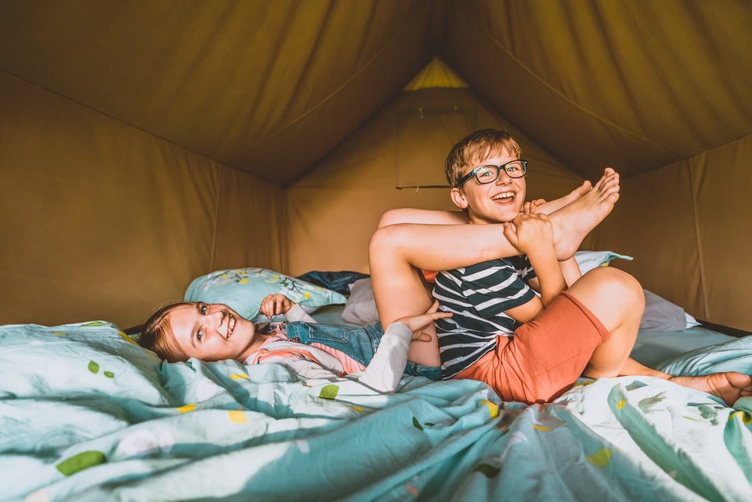logeren in boomhutten