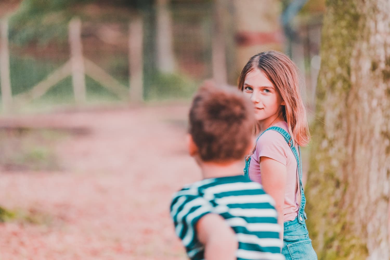 kamperen in boomhutten