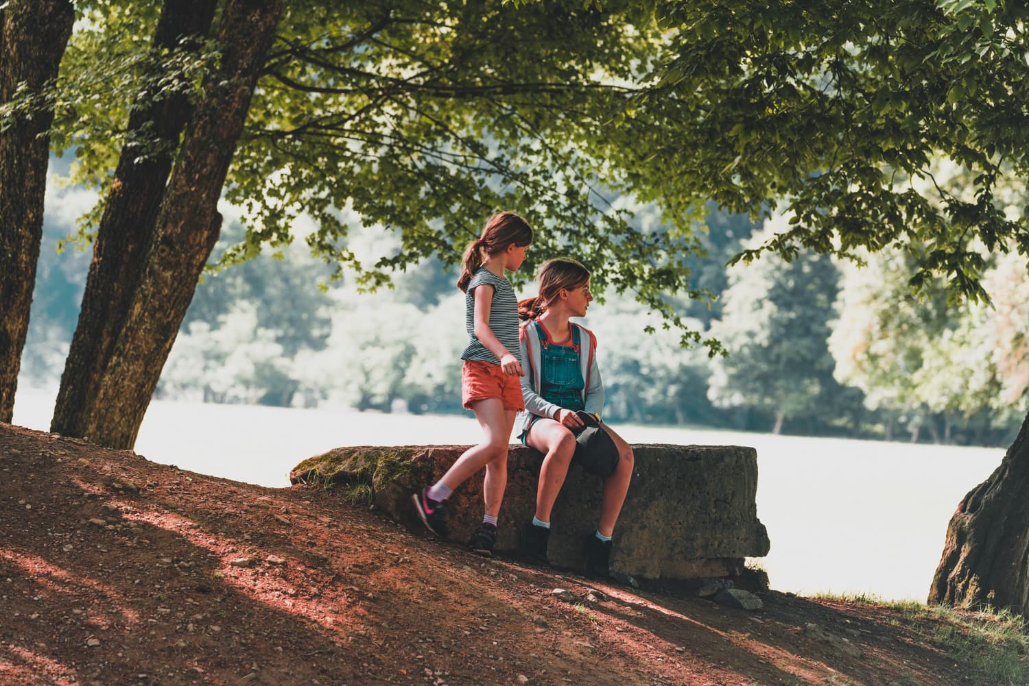 kamperen in de ardennen boomhutten