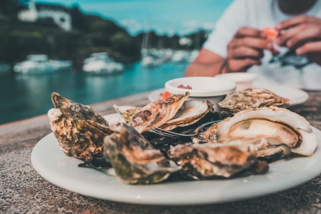 roadtrip frankrijk blog