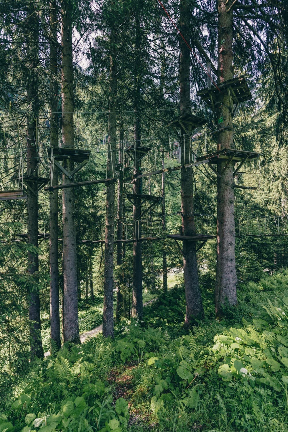 saalbach met kinderen