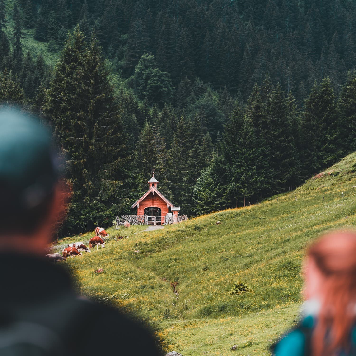 wandelen in saalbach