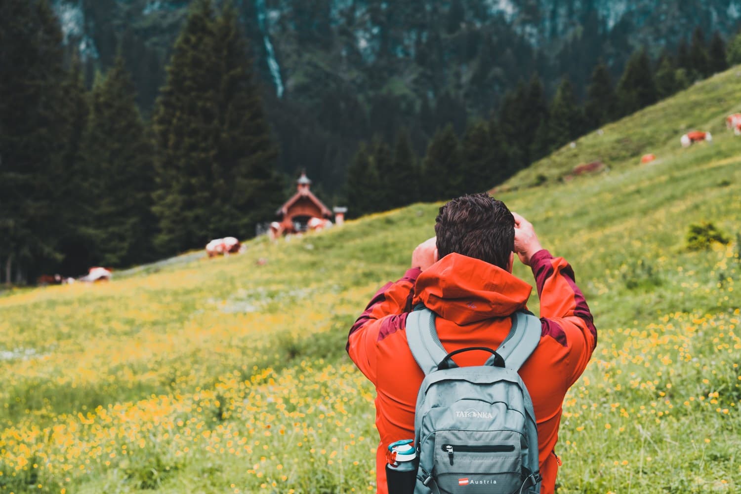 alpenweiden oostenrijk