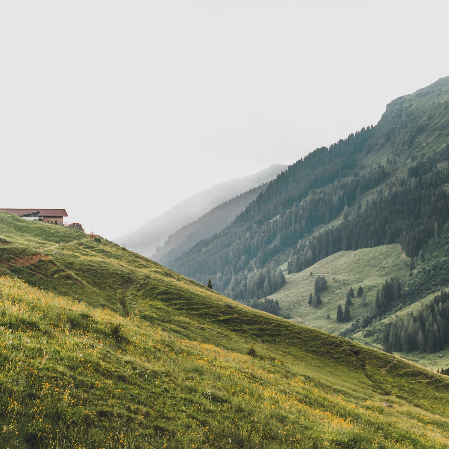 wandelen in oostenrijkse alpen