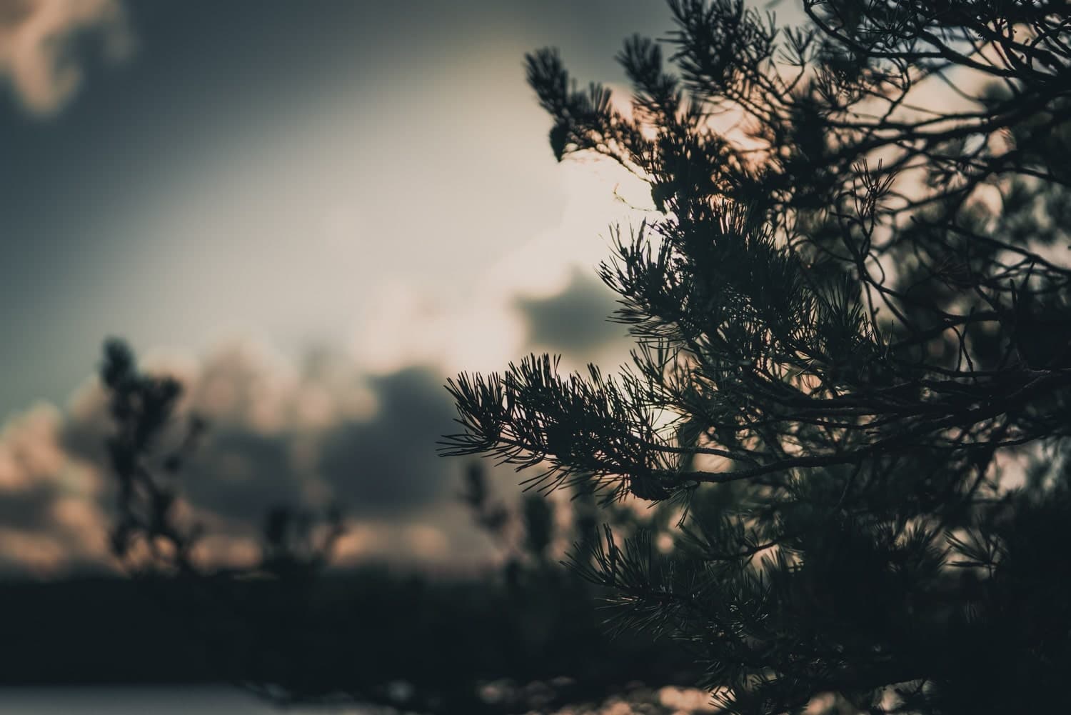 kamperen in zweden