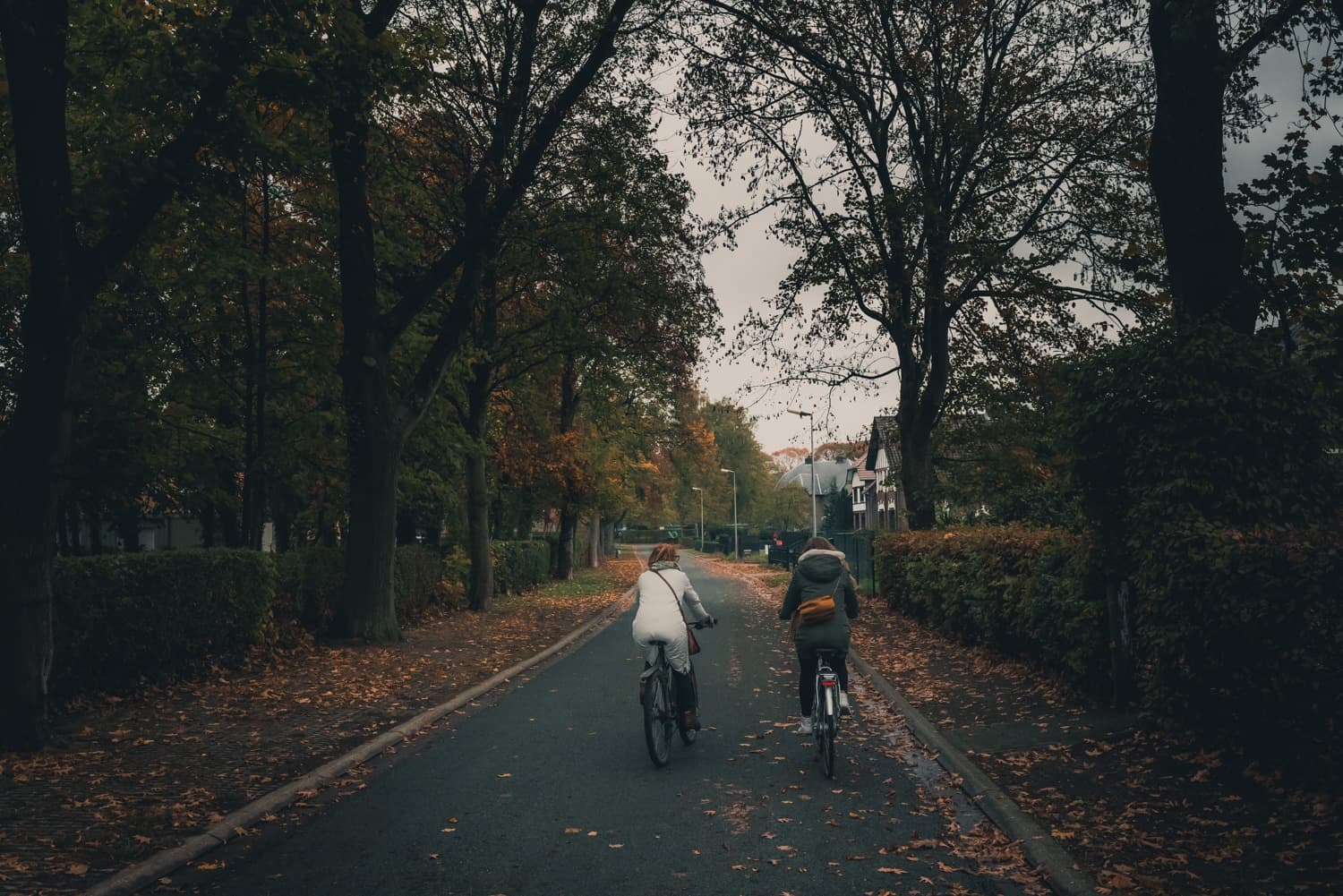 fietsen in maasmechelen
