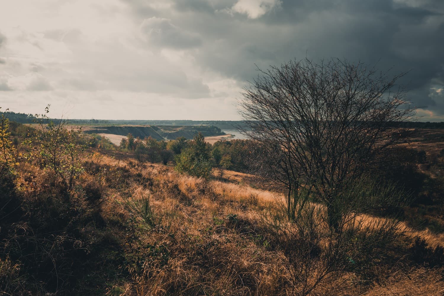 park hoge kempen wandelingen maken