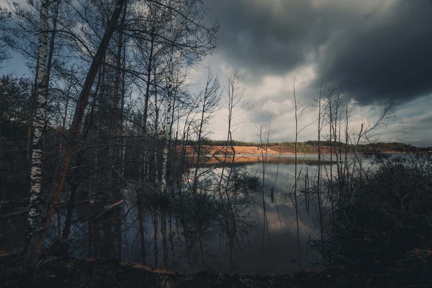 wandelen mechelse heide