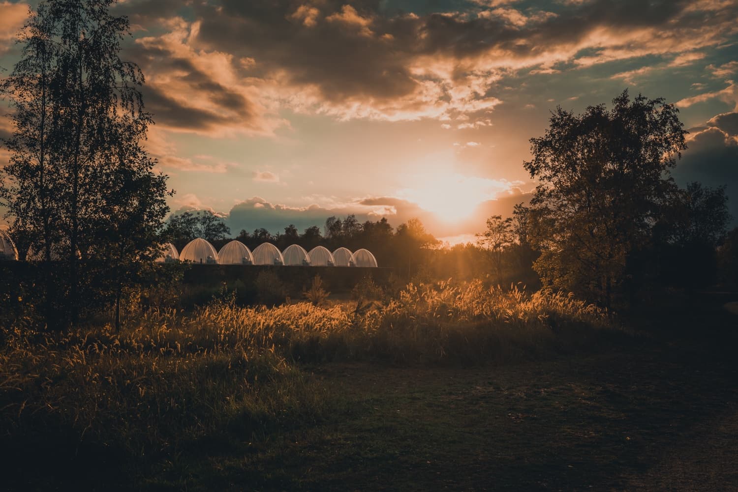 wandelen aan de maas