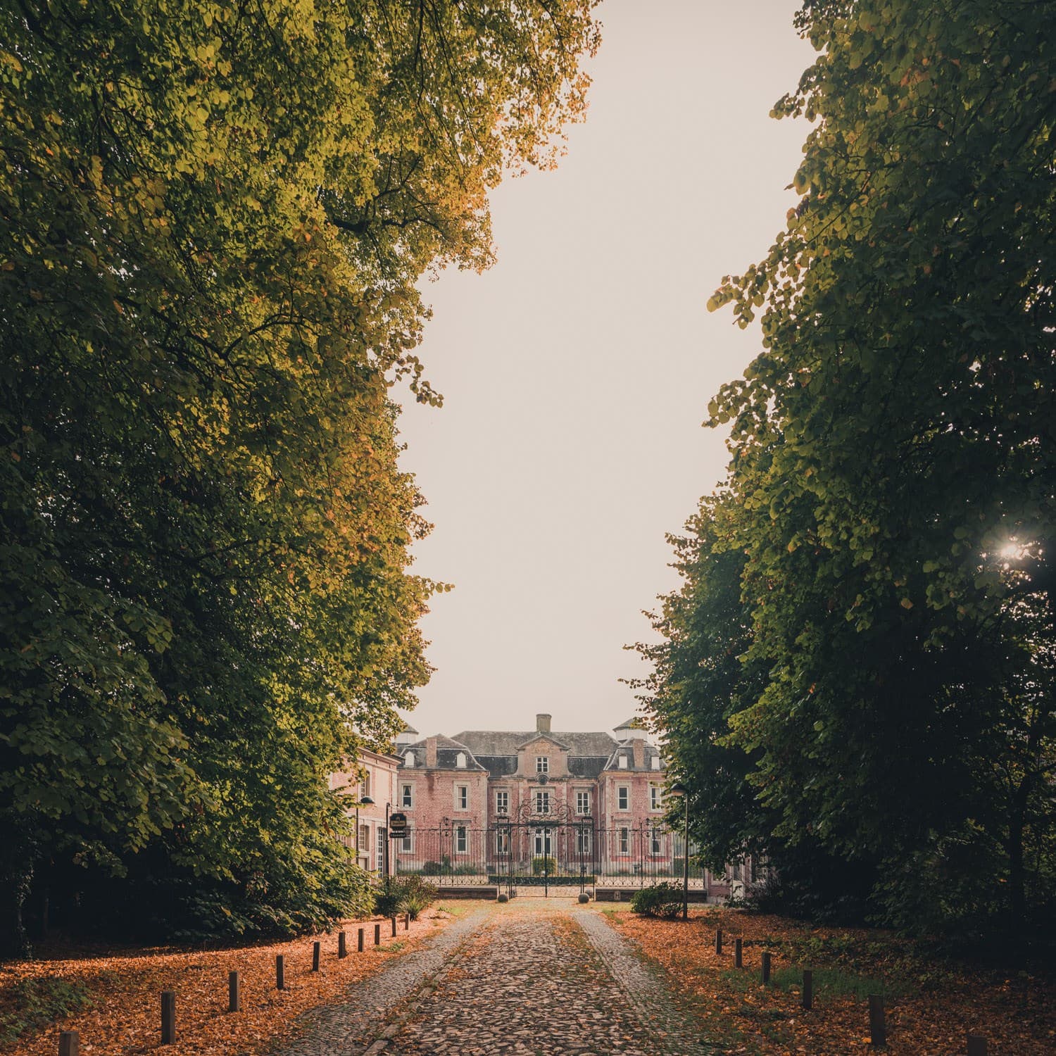 wandelen aan de maas