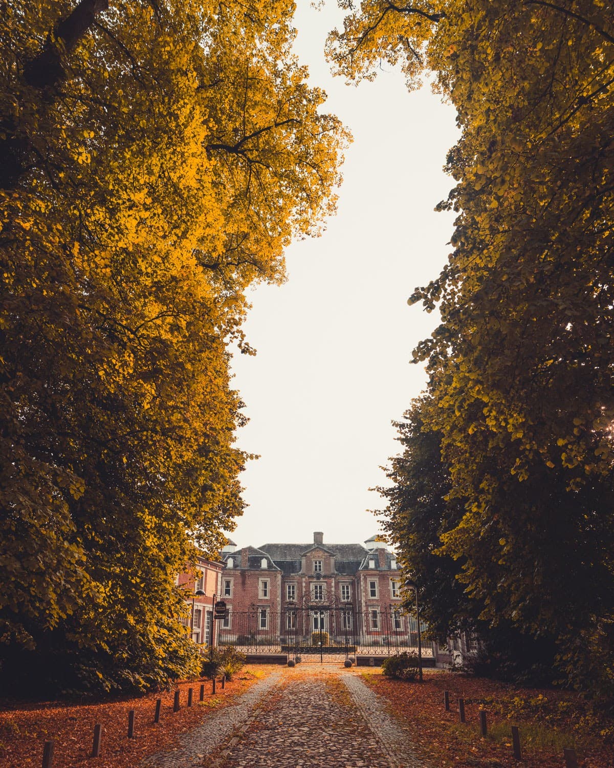 wandelen aan de maas