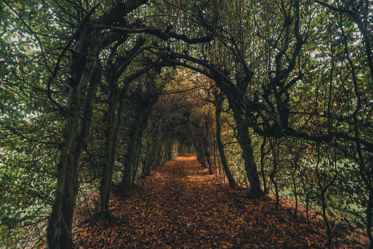natuurwandelingen maasmechelen