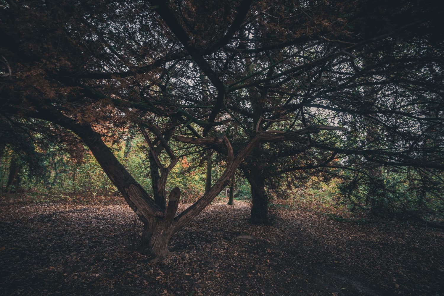 weekend maasmechelen