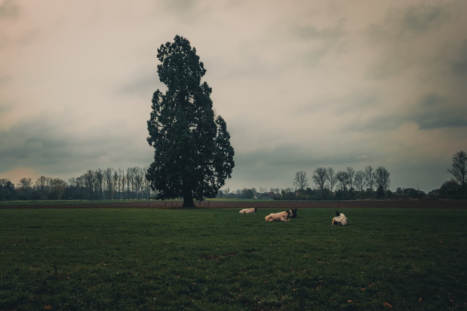 maasmechelen wandeling
