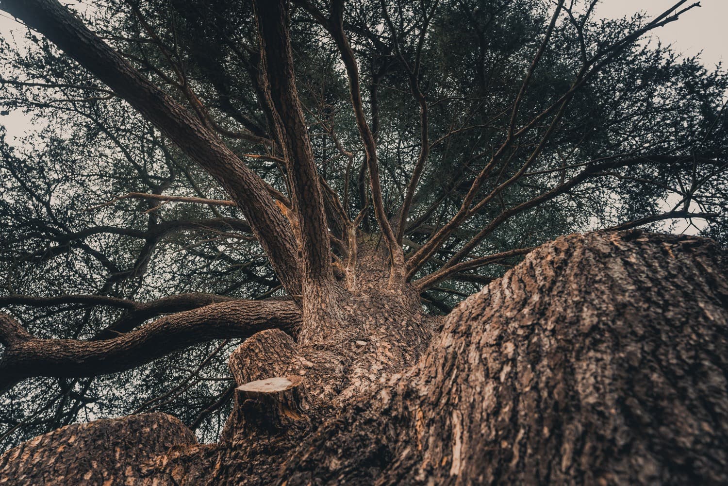 wandelen in maasmechelen